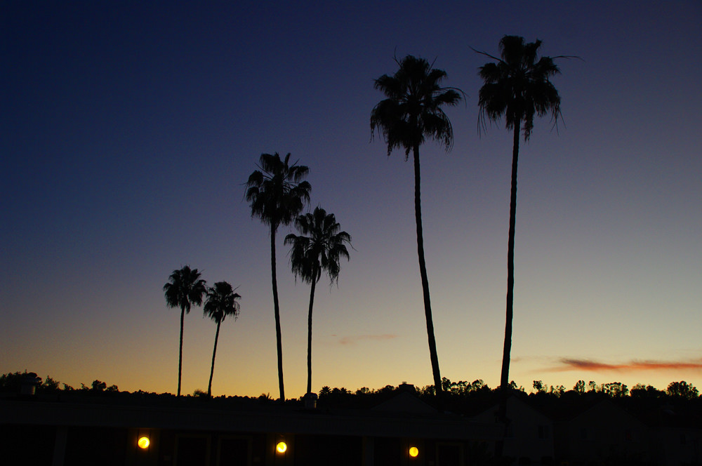 Heads Introduction Image Photo