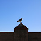 2015 December California trip