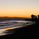 2015 December California trip