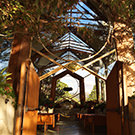 2015 December California trip