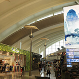 2017 Early Summer California Trip