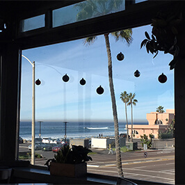 2017 Winter California Trip