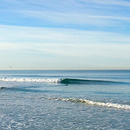 2017 Winter California Trip