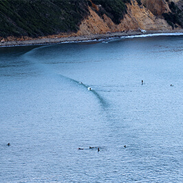 2017 Winter California Trip